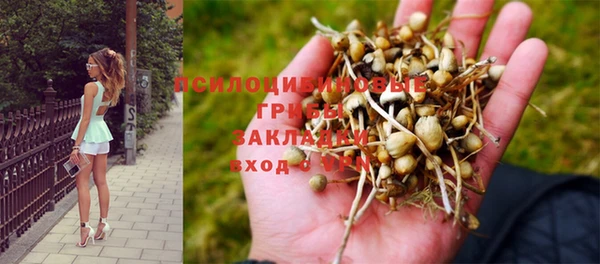 марки nbome Алзамай