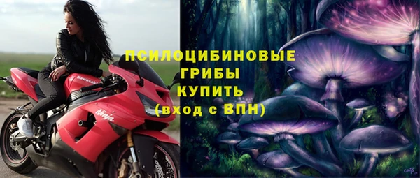 прущие грибы Алексеевка