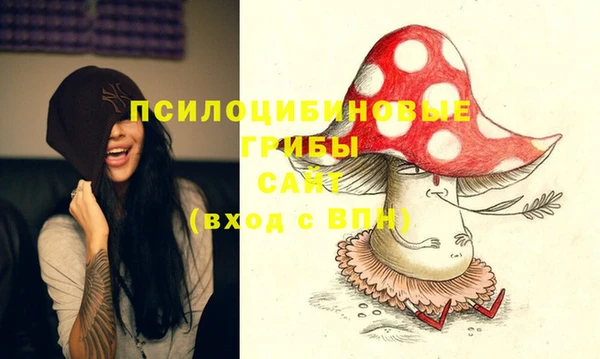 прущие грибы Алексеевка