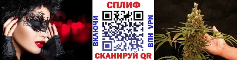 Бошки Шишки SATIVA & INDICA  как найти   Данилов 